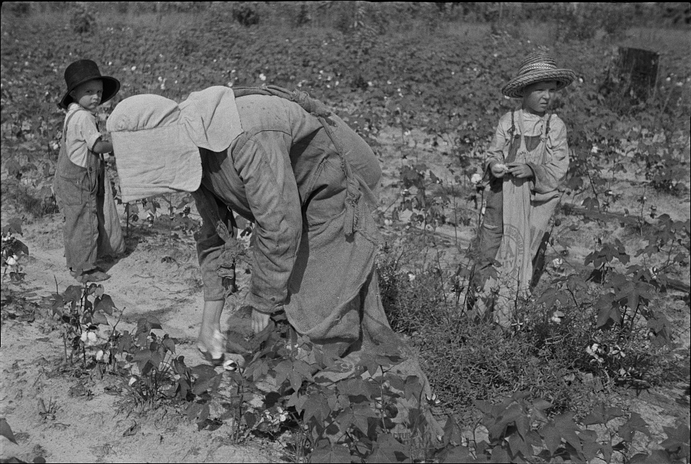 Woman and children picking cotton. Photograph possibly related to other photographs in Lauderdale County, Mississippi