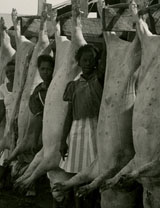 Female prisoners beside slaughtered hogs