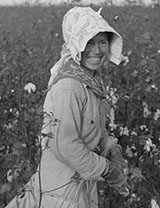 Mexican Woman Picking Cotton