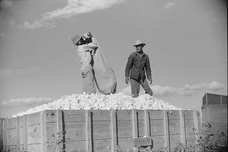 Mexican seasonal laborers