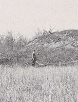 Indian Mound