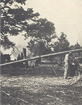 A One-Mule-Power Cane Press