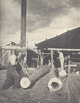 A Hardwood Sawmill